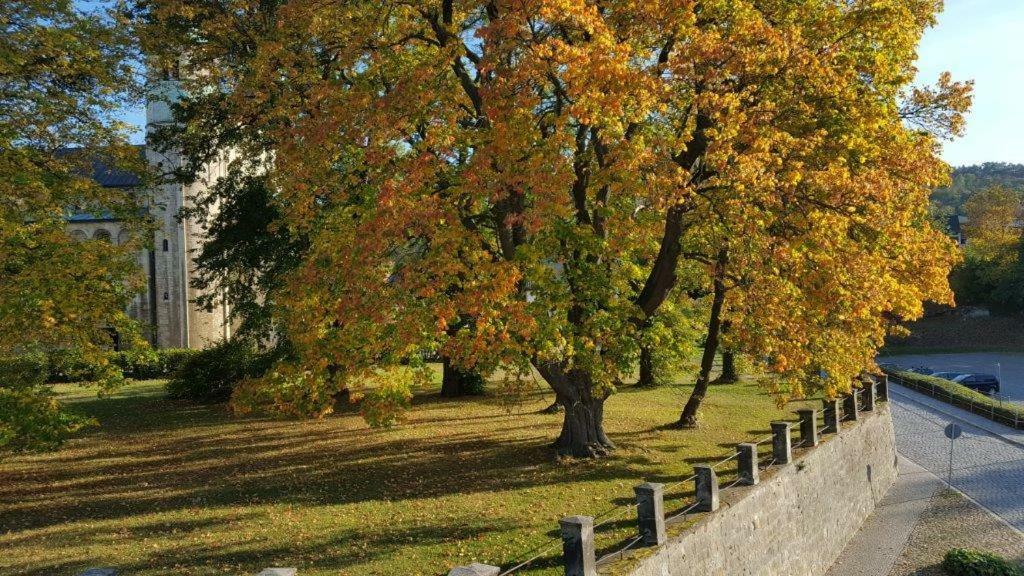 Apartament Stiftsblick Gernrode  Zewnętrze zdjęcie